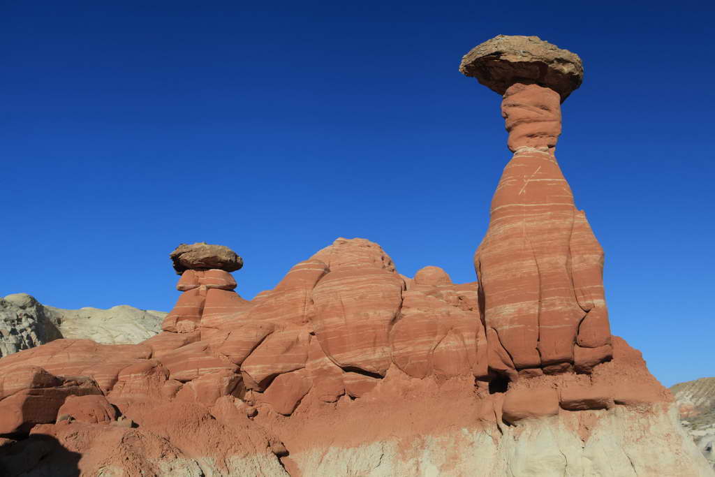 Toadstool Hoodoo